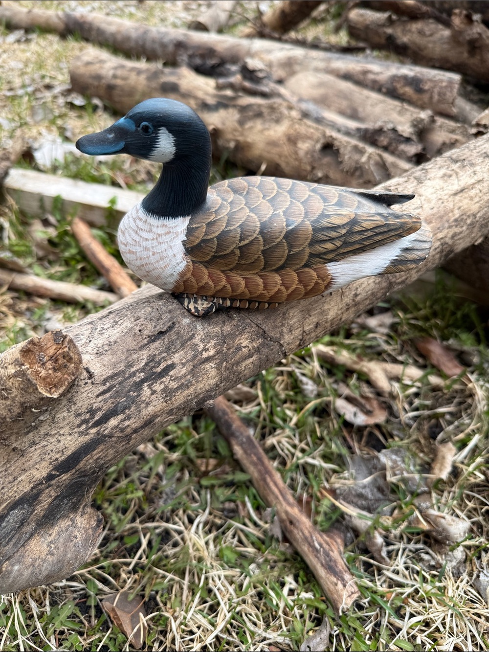 Decorative Canada Goose - Brown/Black